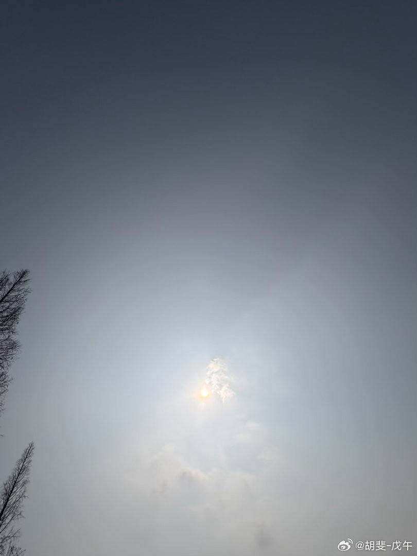 载驰载驱，归唁卫候。驱马悠悠，言至于漕。大夫跋涉，我心则忧。既不我嘉，不能旋反。