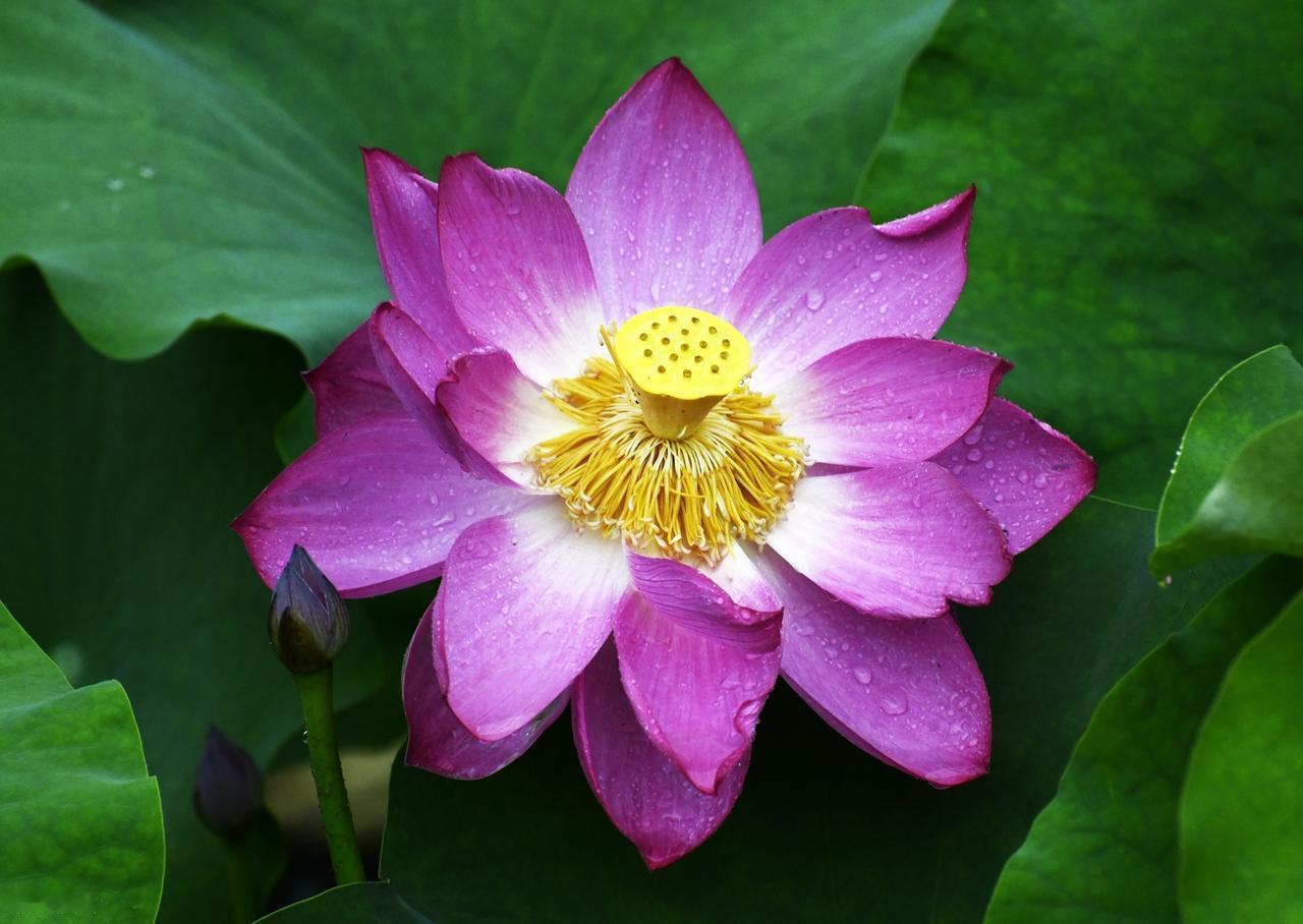 总觉得别人把你看轻了，实则是你把自己看重了。但凡有分量的人，都懂得拿捏“轻重”：