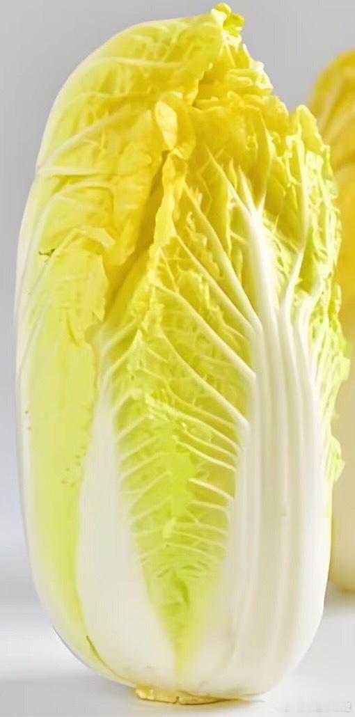 花开的时候像颗黄色🥬 