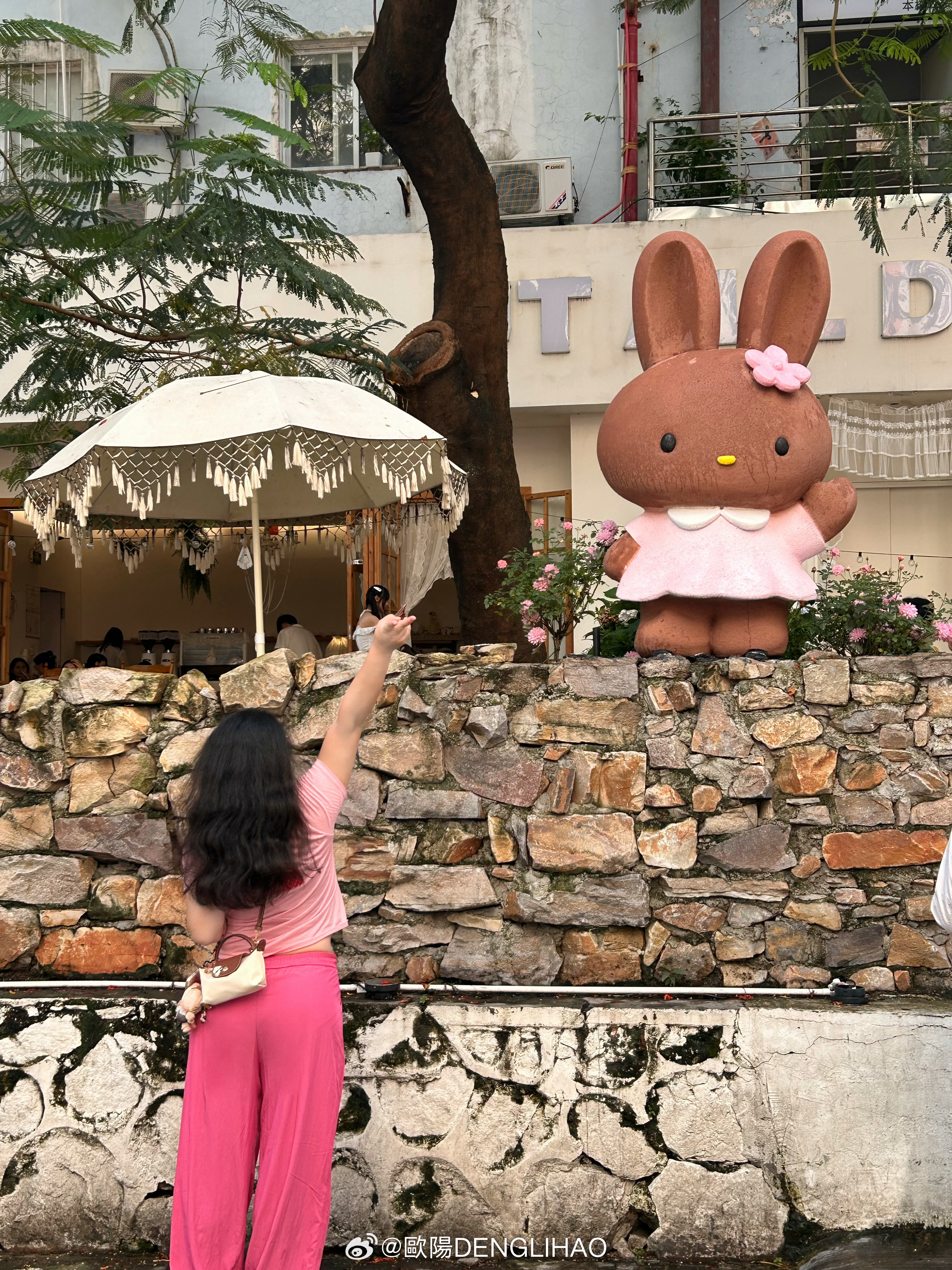 Hi🐰🎀🩷 