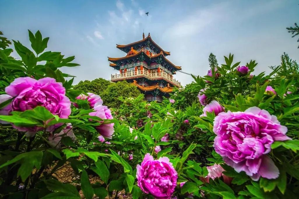 说洛阳是中华文化圣城，一点都不为过。“中国”一词最早就源于洛阳，西周何尊铭文“余