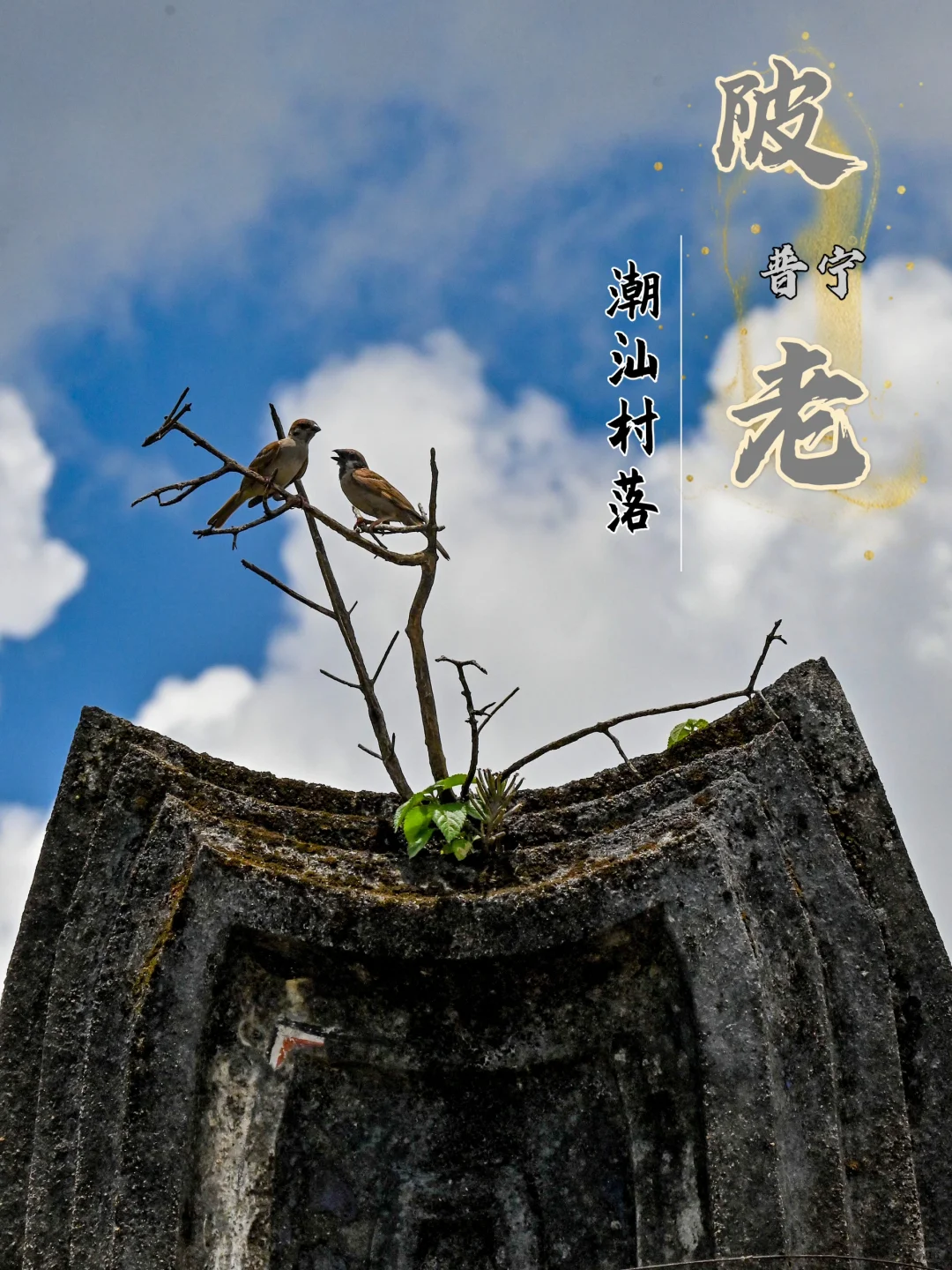 普宁乡行录223｜陂老村