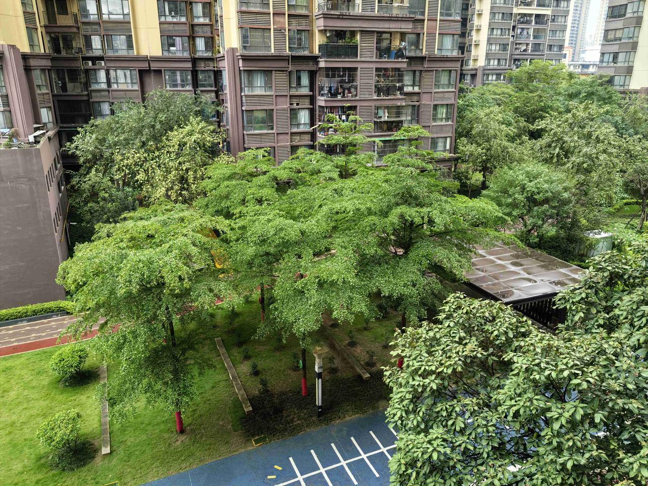 假期已过半，没出门。雨下了整整一天，室外光线昏暗，地面湿滑，空气清新，不冷不热的
