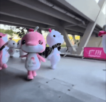 谁家海豚是这么走路的？这就是大湾走地鸡！