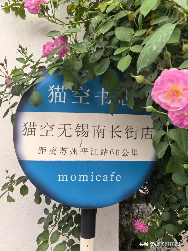 南长街的蔷薇花开了。