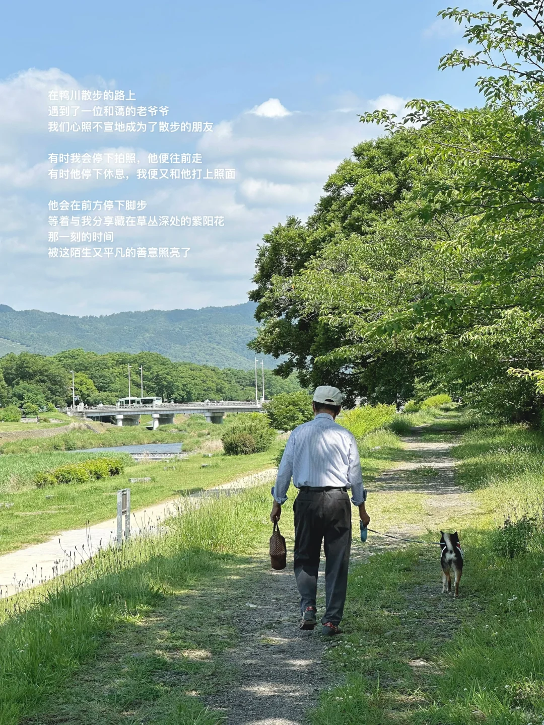 鸭川不过只是平凡的生活