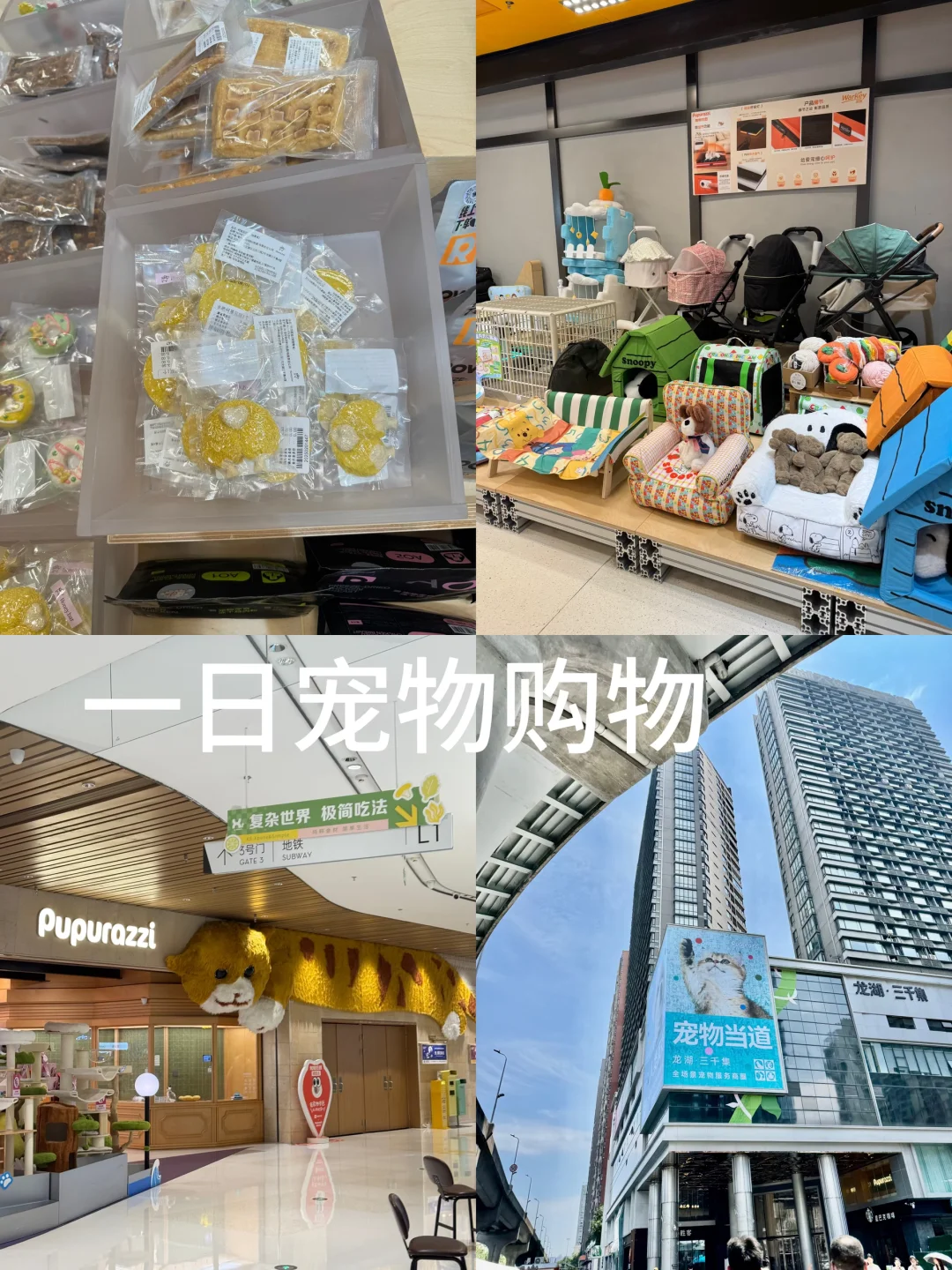 终于找到一家狗狗可以挑选商品的商场啦