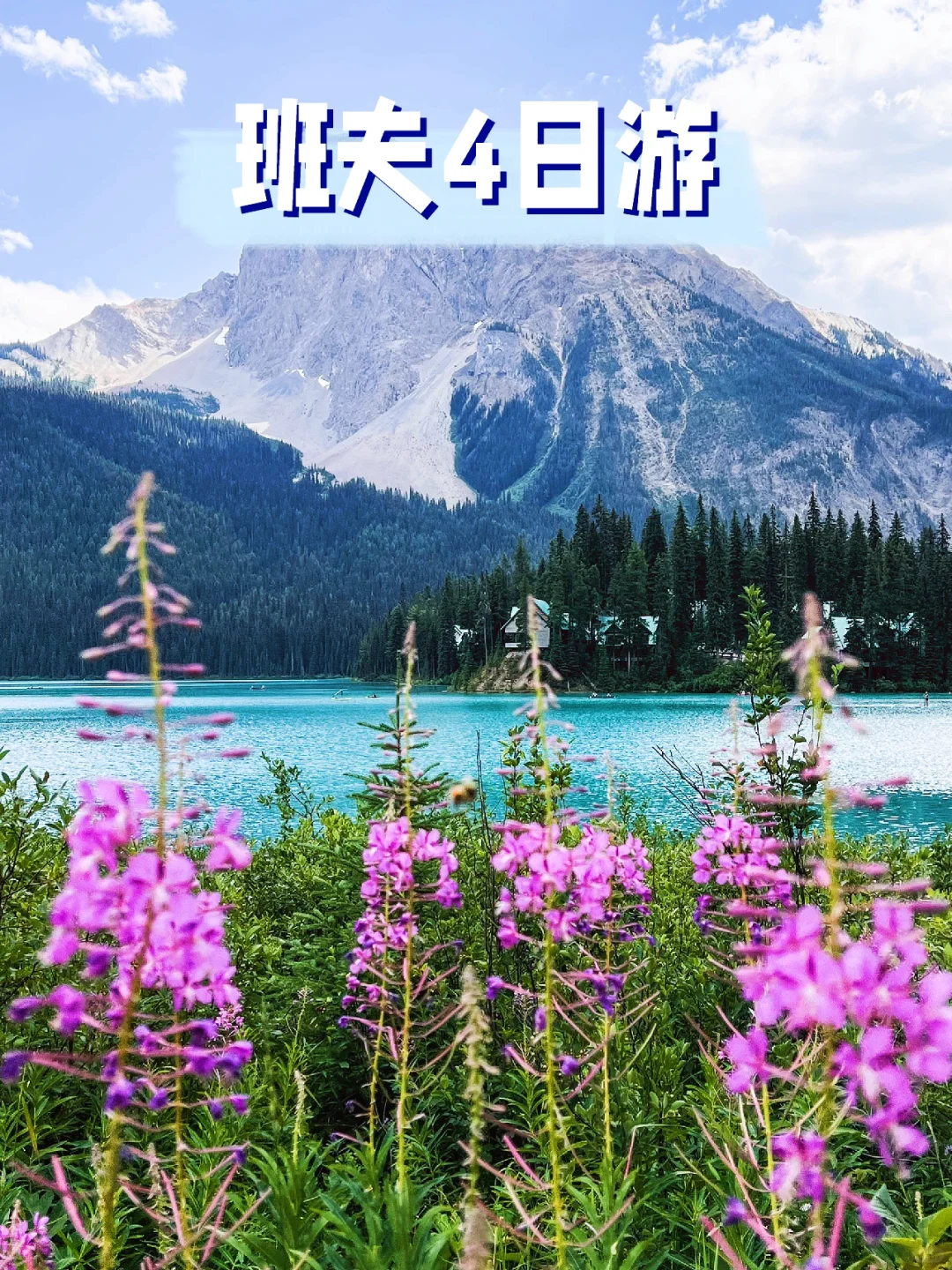 温哥华往返..Banff班夫落基山4日游‼️好价