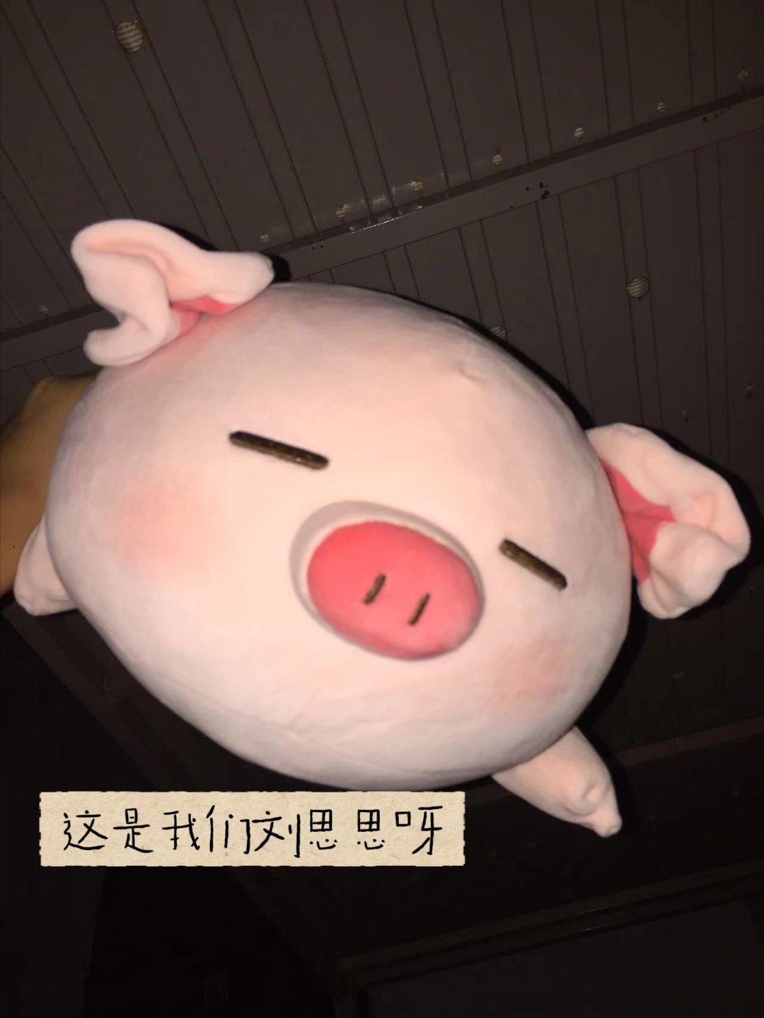 明天要给我家刘思思洗个澡 