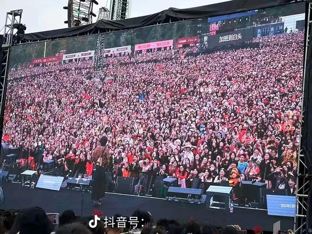 华晨宇演唱会这人头太密集了 ​​​