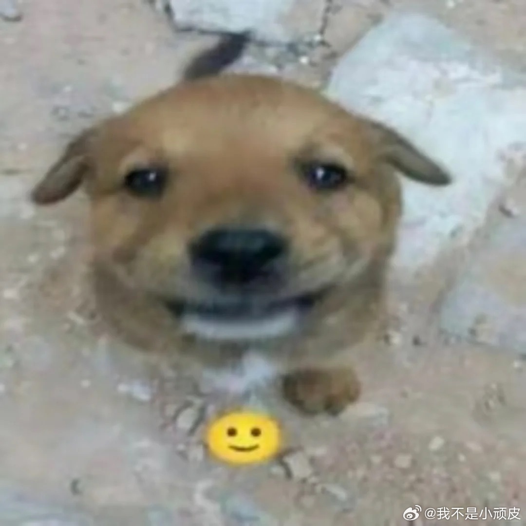 分享图片 