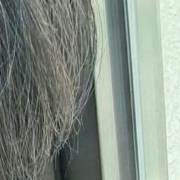 0000每一天，都以一颗善良的心去对待世界，你会发现生活处处充满美好。行善无需惊