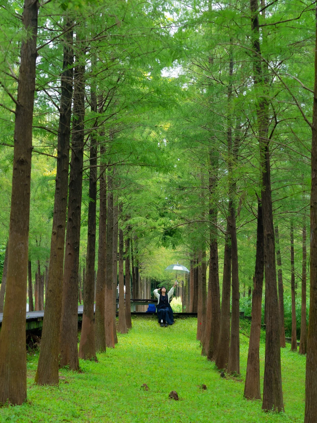 广州天河这个抹茶绿公园🌲拍照太好看了吧！