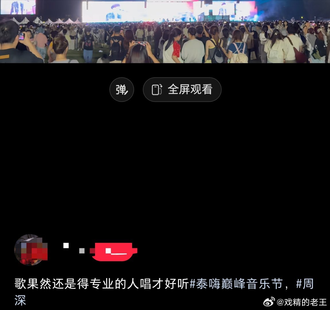 泰嗨巅峰音乐节上的路人听众如是说歌，果然还是得专业的唱才好听周深不愧是专业的歌手
