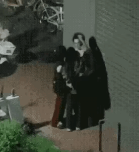 今天看见这个动图震惊了我一下，好厉害的样啊 