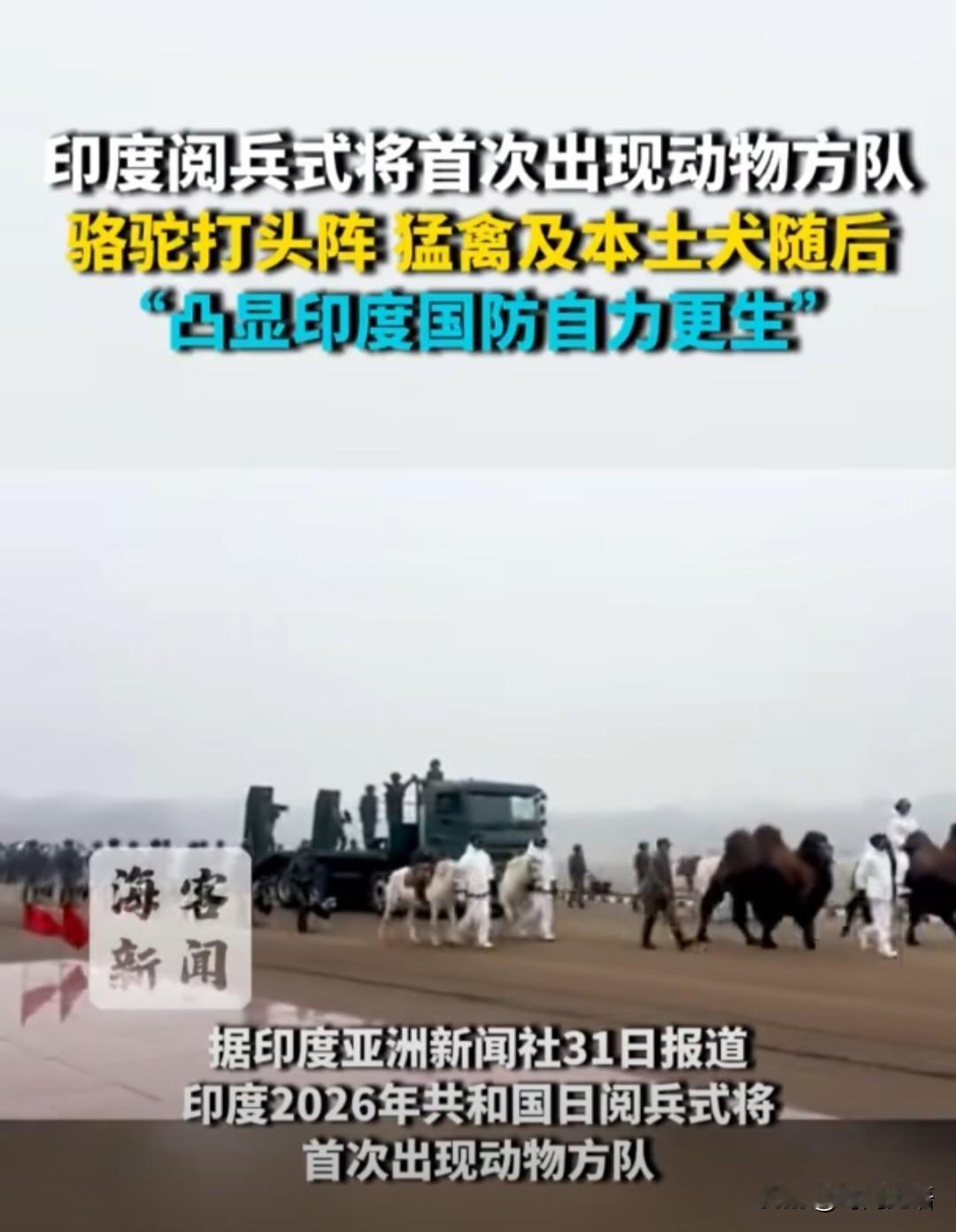 印度的国防实力逆天了，新年阅兵式直接上动物方阵，凸显印度在国防领域自力更生的决心