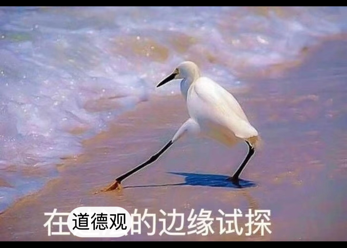 今年上半年我磕cp最大感悟就是⬇️ 