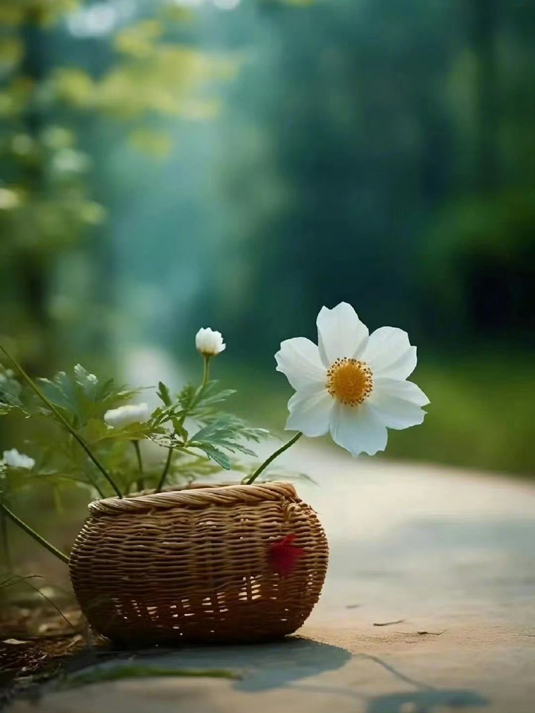 欺负你的人因你的软弱而来。欣赏你的人因你的自信而来。不在乎你的人因你的卑微而来。