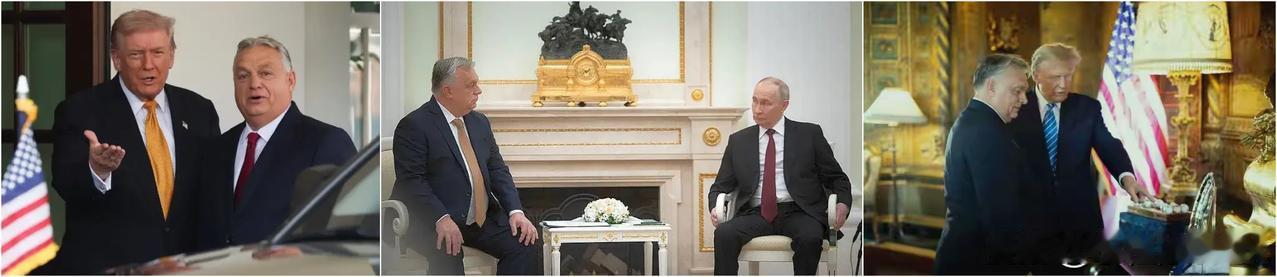 现在“中美俄”最红的人，当属于匈牙利总理“欧尔班”，横跨欧亚美三大洲，能在世界三