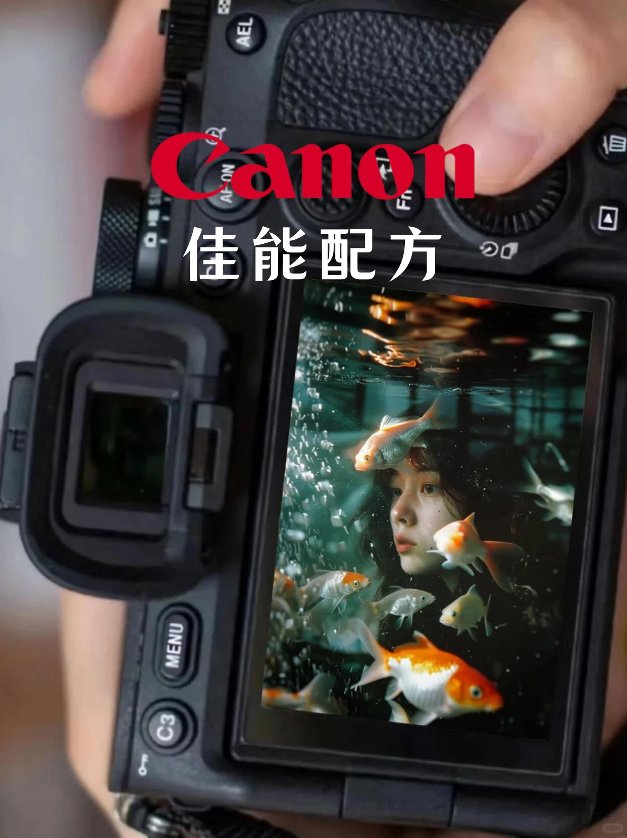 佳能用户都给我学！直出参数配方来啦❗️。参数不是固定的，拍摄时需要根据...