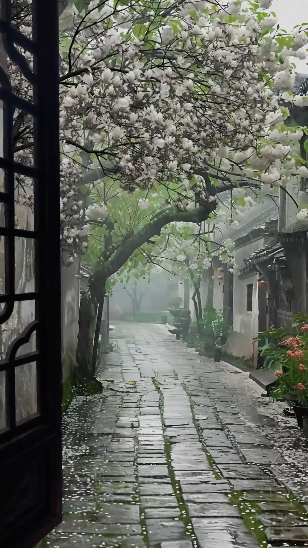 修心养性 脸也会显更好 心好脸好气质好 等等都好传统文化 国学文化 雨天 乡间小