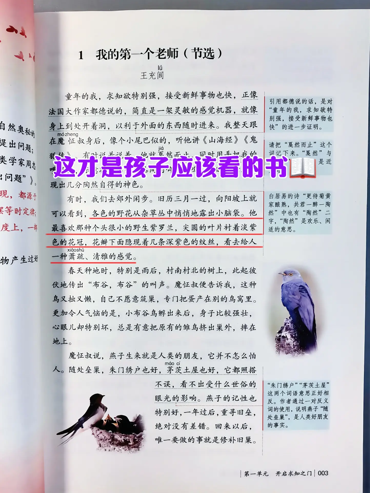 语文学霸必备的《人民日报伴你阅读》📚人民日报权威出版‼️同步课本拓展...