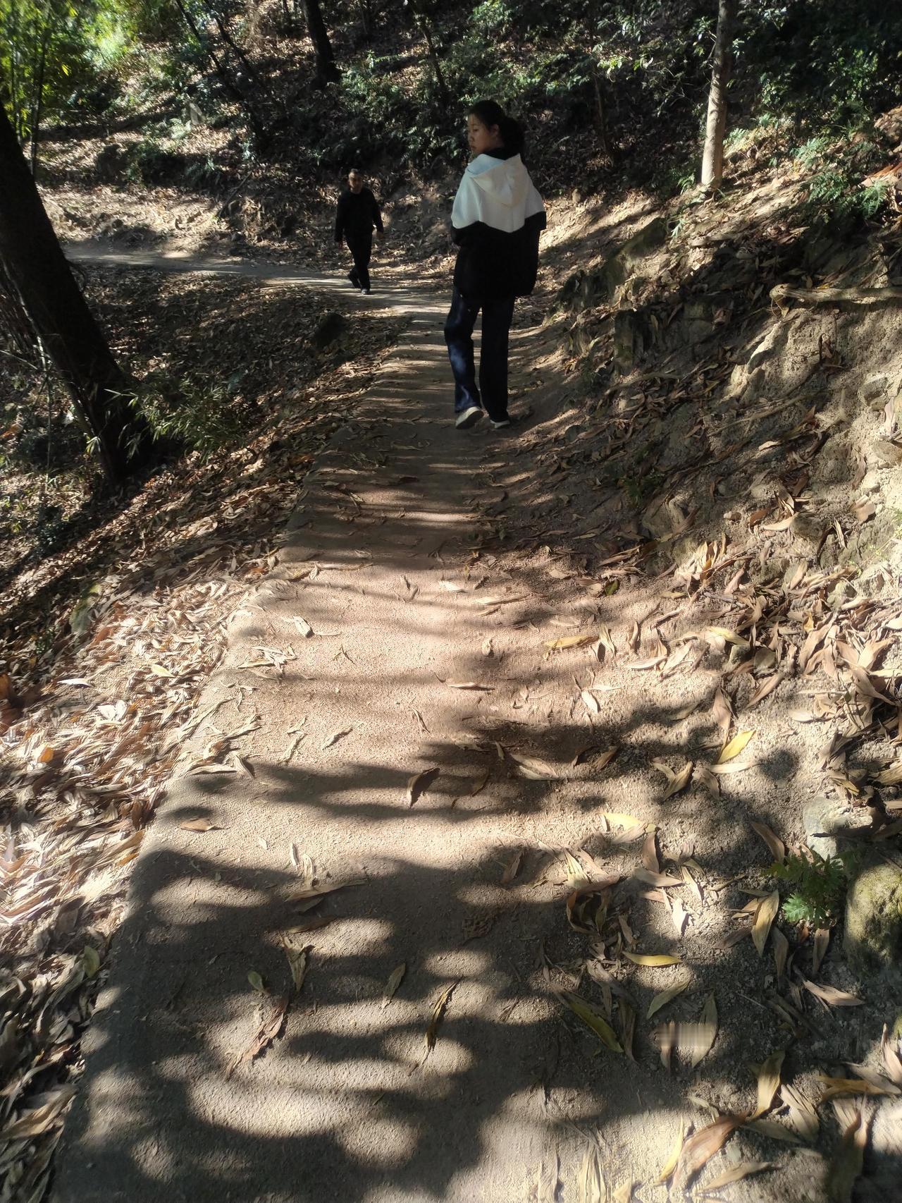 耳边除了风声，就是各种鸟叫，叽叽喳喳的，也听不懂它们在聊啥，可听着就特舒服。这山