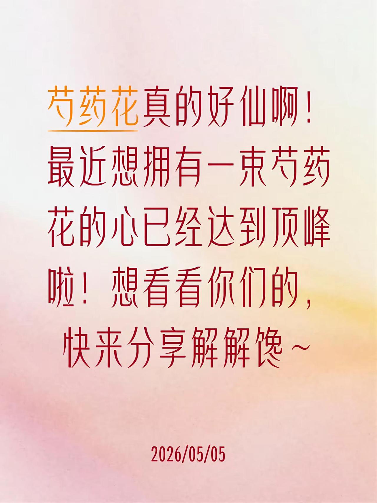 芍药花真的好仙啊！最近想拥有一束芍药花的心已经达到顶峰啦！芍药花芍药落日珊瑚芍药