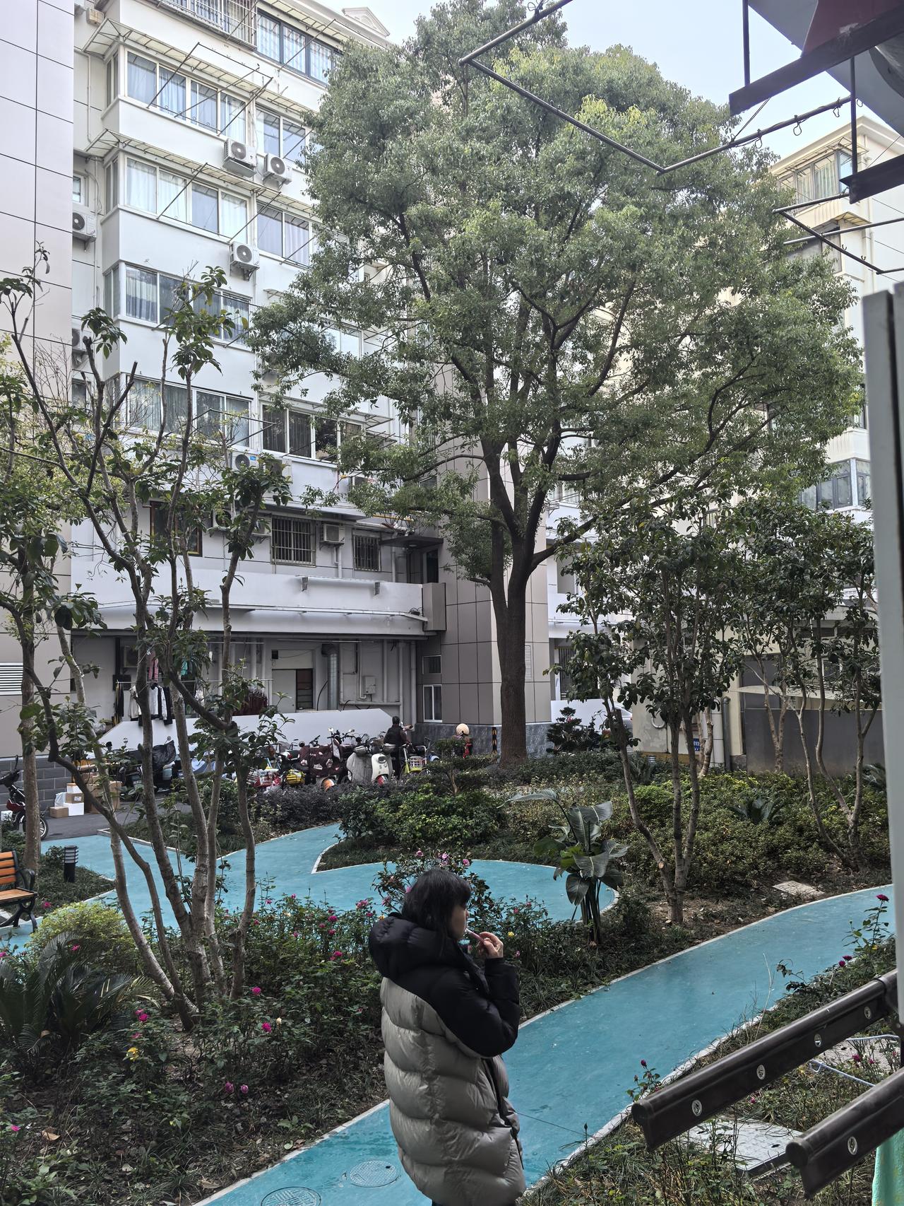 这是我陪着老爸就医 ，来上海的第四个清晨。时间匆匆过得很快，昨天睡得算是最好的一