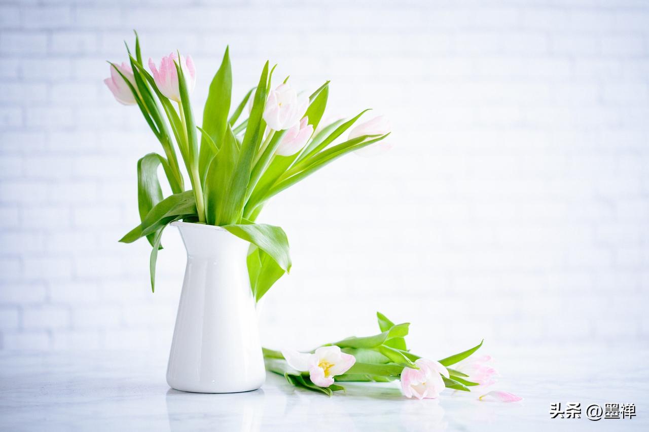 未来五年，稳住就是赢家
狠狠记住：

1、房子，够住就好，别为了面子背一辈子债。