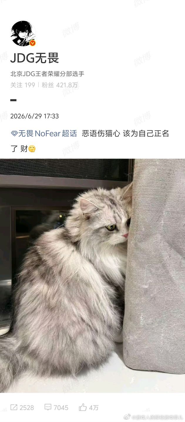 无畏为自己的猫正名了 发财：你们说的太过分了！无畏发文维护自家小猫，不许恶语伤猫