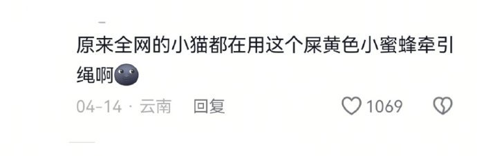 倔强猫能有多倔强 ​ ​​​