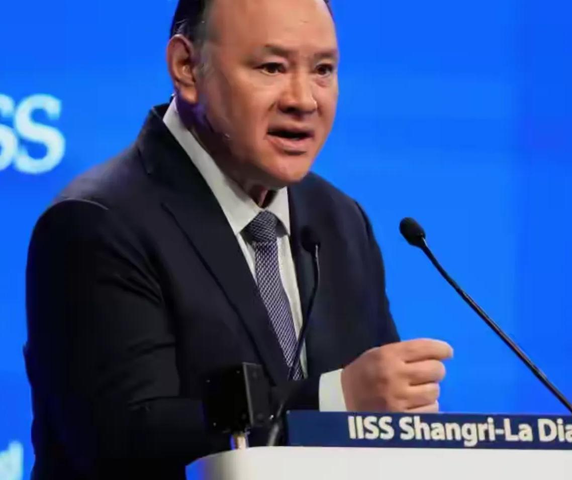 中国出手制裁！菲防长幸灾乐祸:承认祖先在中国，但中国没有资产

6月11日，中国