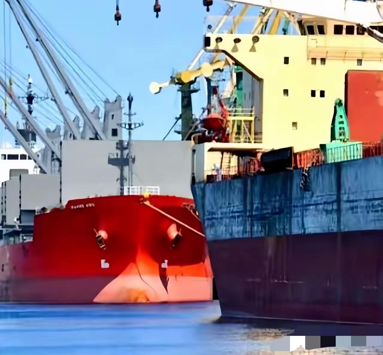 一艘满载6.9万吨巴西大豆运到家门口，被我们原路退回！

​巴西农业部说了，中国