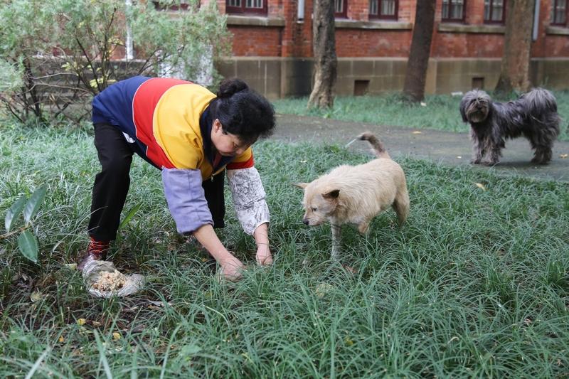 我觉得给流浪猫狗喂食是个很个人化的选择。我自己会偶尔喂，看到那些小家伙眼巴巴的样