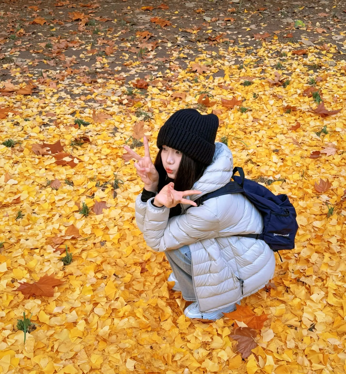 🍁。