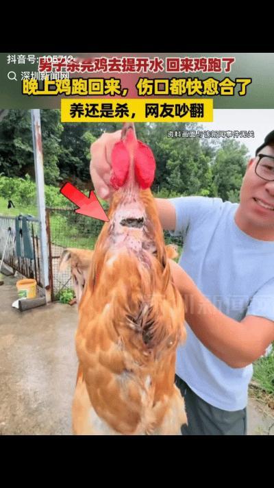 “万万没想到！”湖北荊州一男子宰杀家中的公鸡，放完血后见鸡不动了，就回屋去取开水
