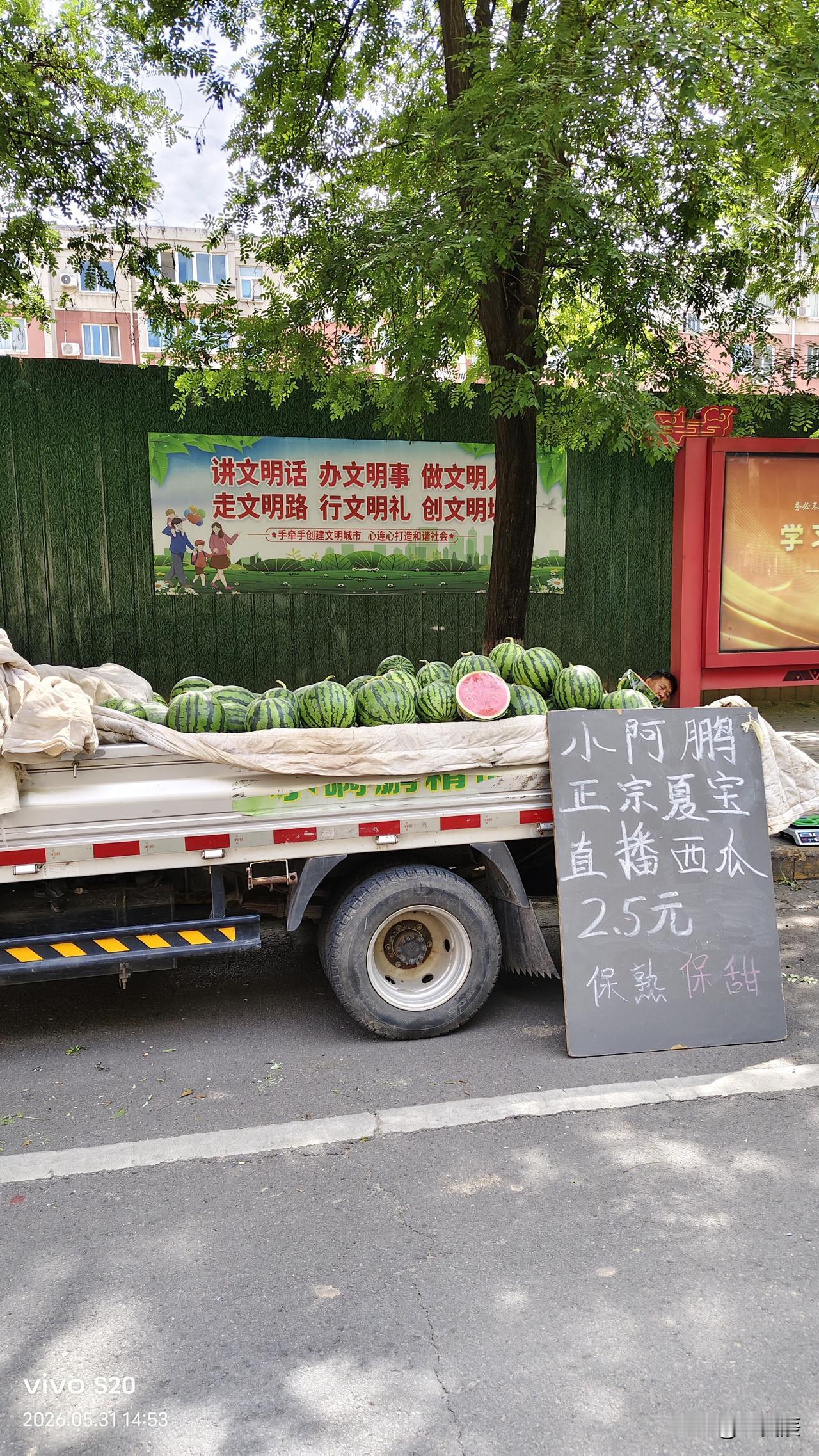 夏宝西瓜是三门峡人整个夏天的口福！

三门峡市距离黄河北岸的山西运城市夏县只有6