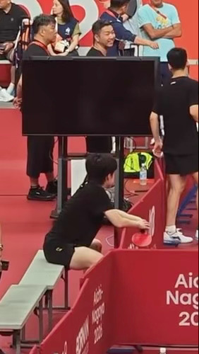 萨摩耶 ​​​