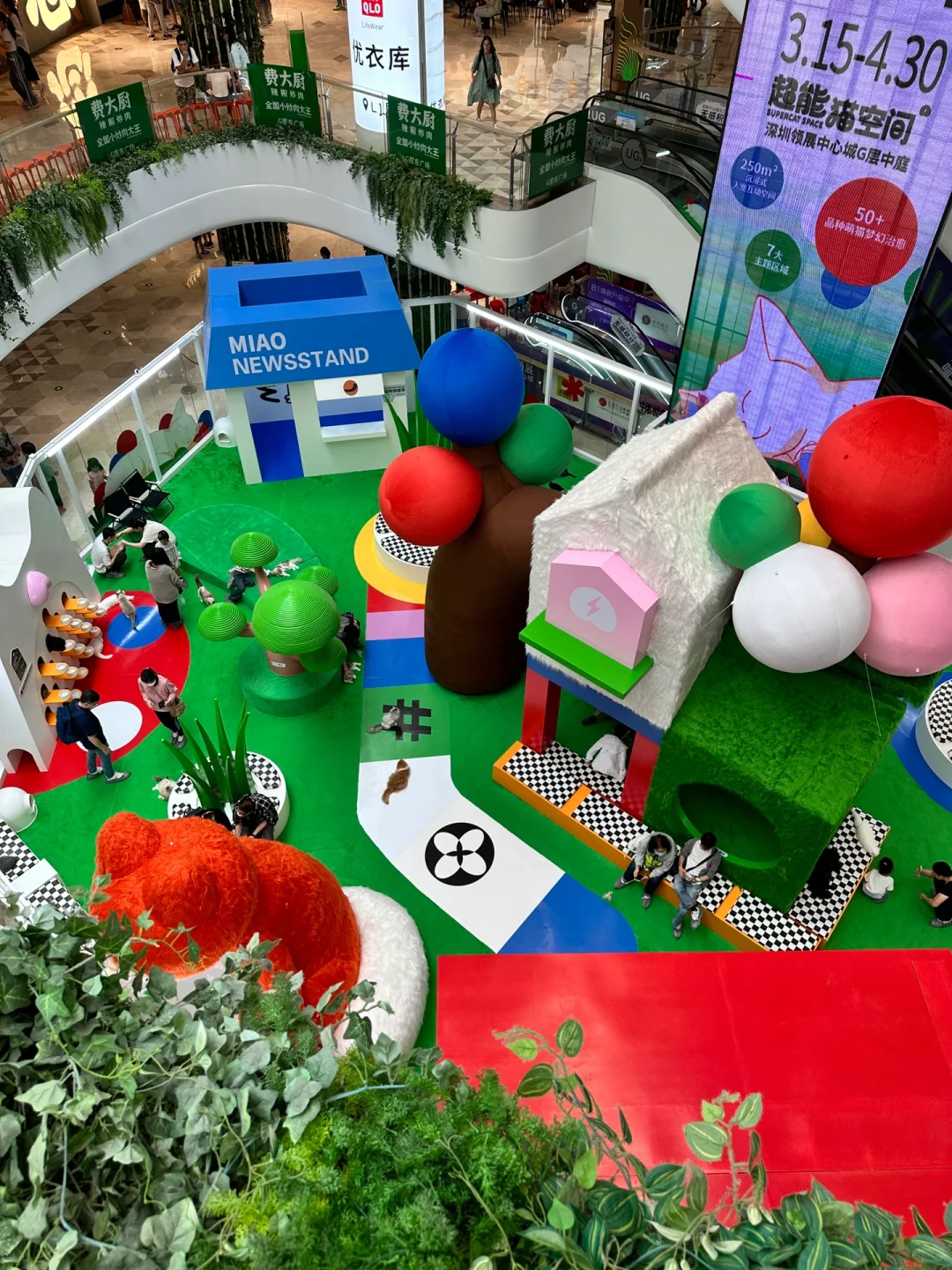 啊啊啊，这个商场好多喵星人！好多香港人！