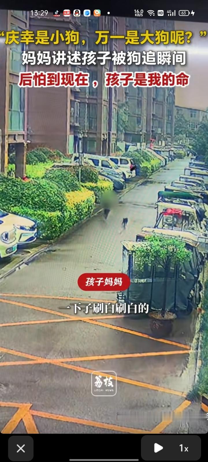 5月25日，周口市鹿邑县。监控记录下可怕一幕，妈妈带着孩子到小区停车，后面一只狗