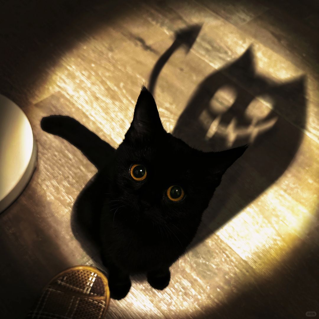 不给饭就捣蛋！