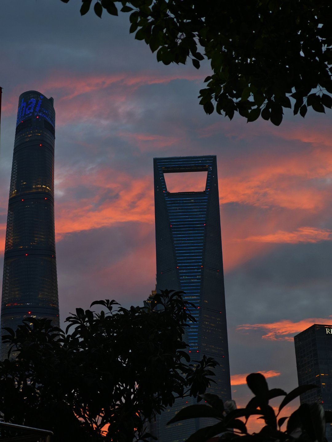 看看我这是遇到了什么神仙美景 
