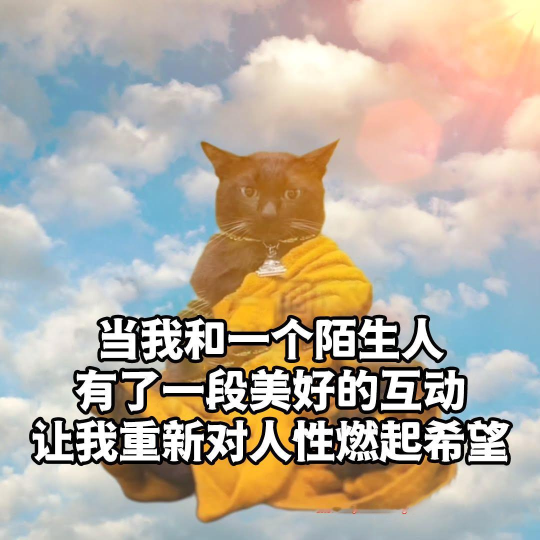 也没那么糟嘛 