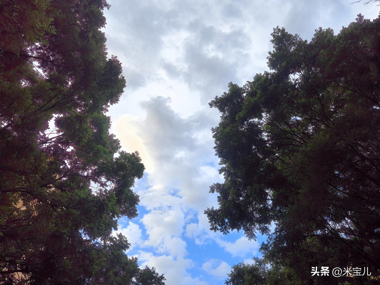 太原找工作太难了！
都说蜀道难，难于上青天。
我说找工作难，难于上青天。
现在大