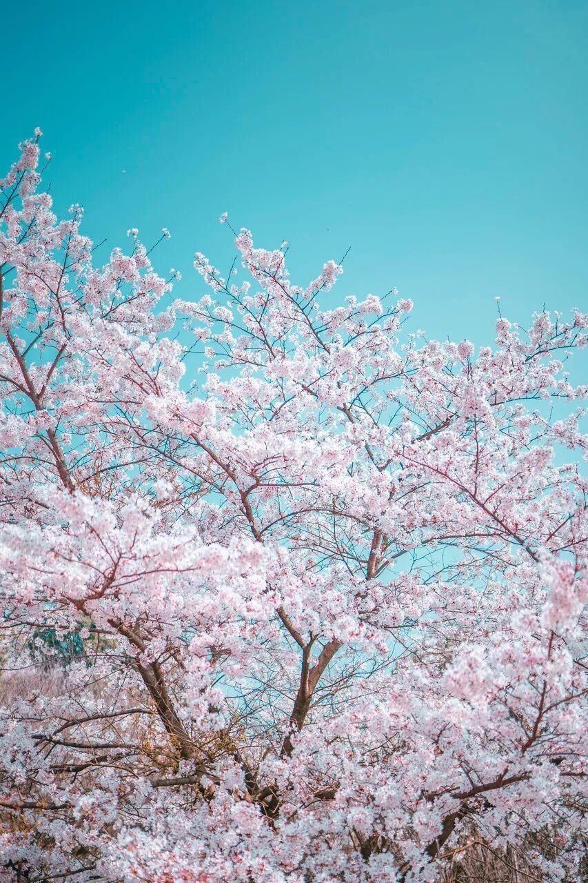 陈学冬退圈？别装了，你早就过气了
“陈学冬退圈”上热搜了。
点进去一看，哭笑不得