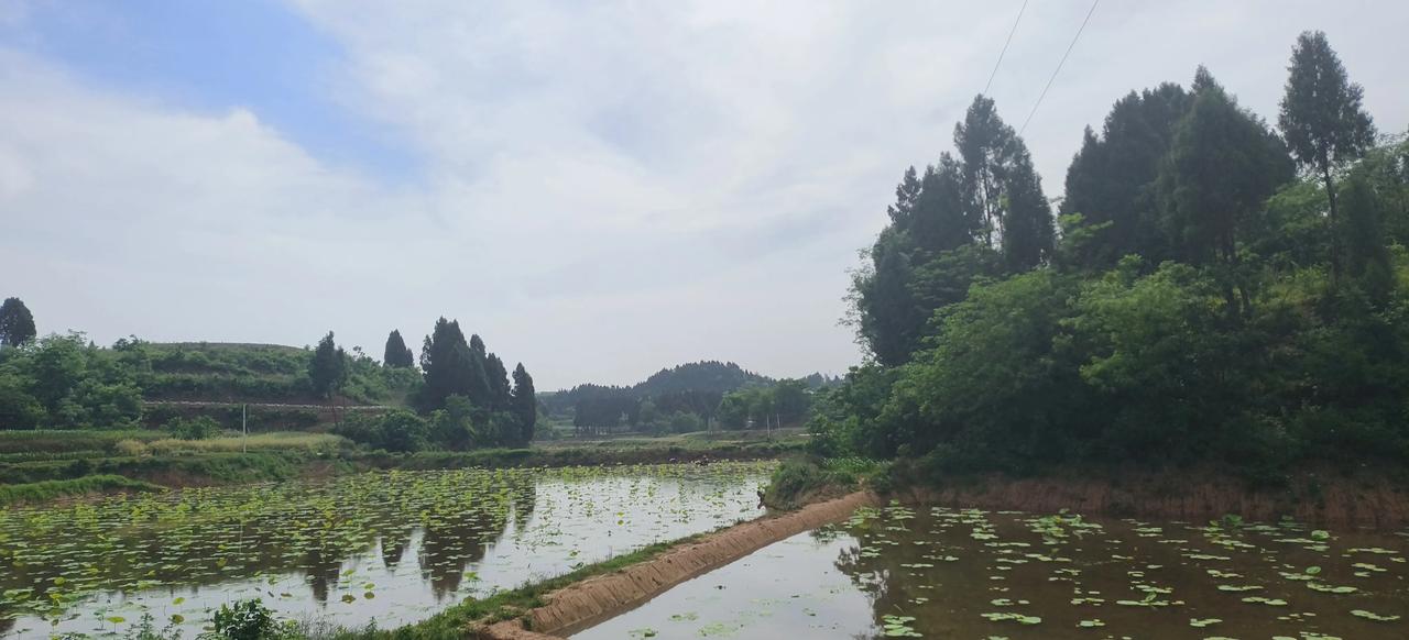 每天的太阳都是新的
每天的心情都是好的
每天的感受同步美好