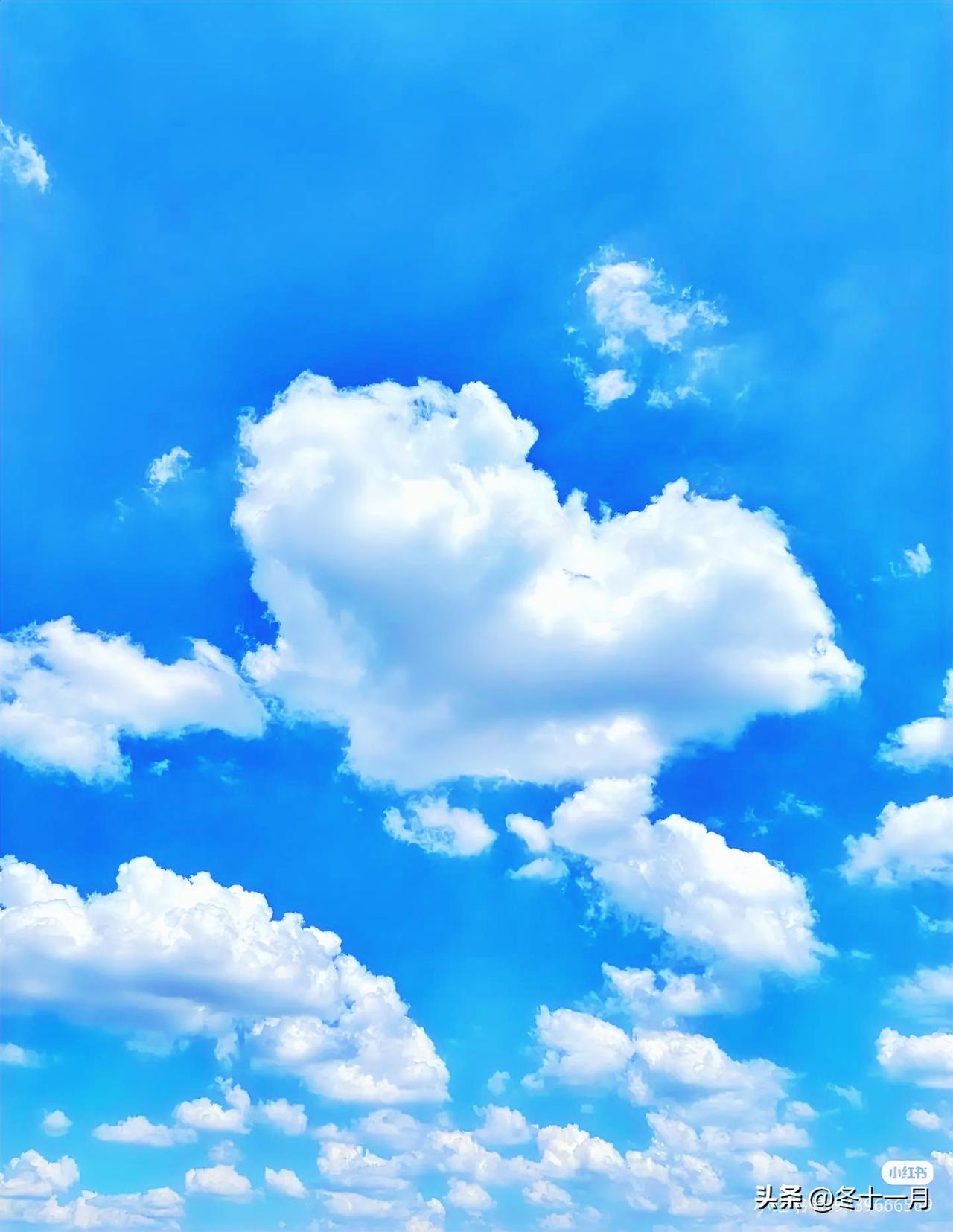 悠悠荡荡天上云

春日悠长，乍暖还寒。
杏花春雨，攸然来袭。