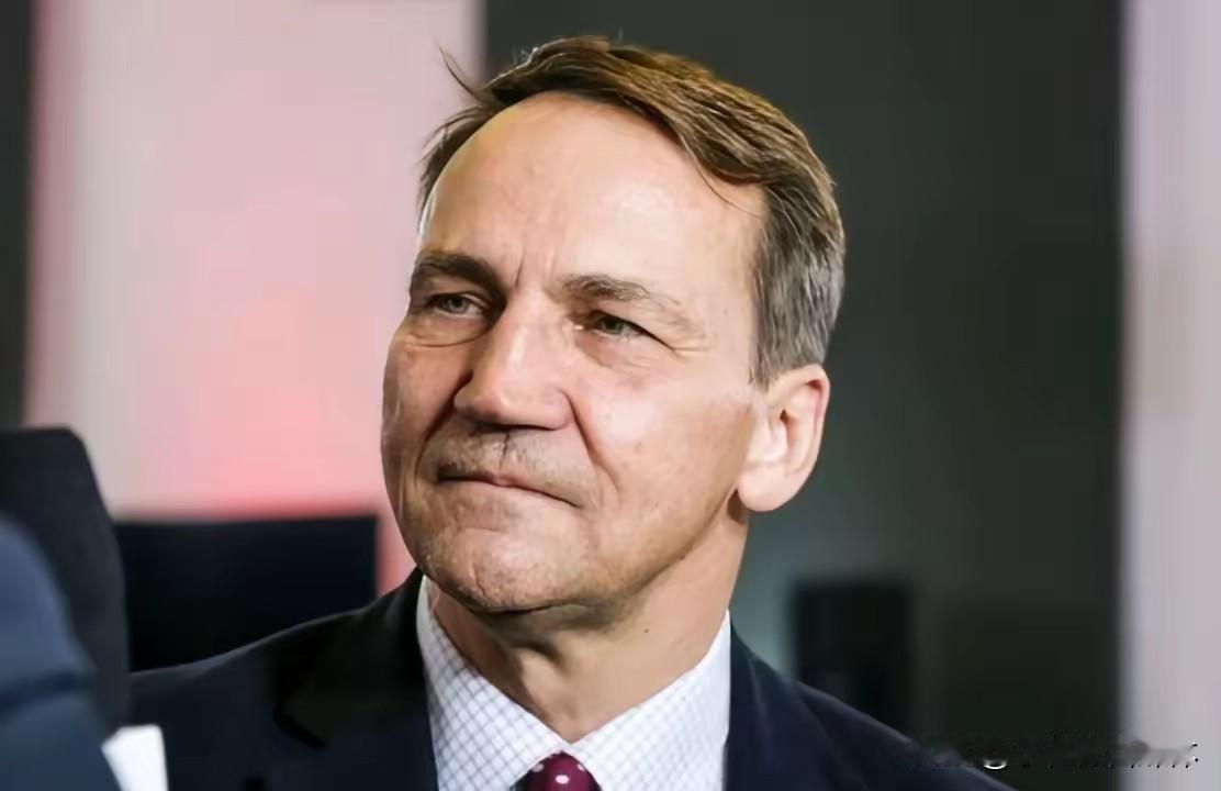 波兰外长透露一个重要消息！

据《乌克兰独立新闻社》11月13日报道，波兰外长拉