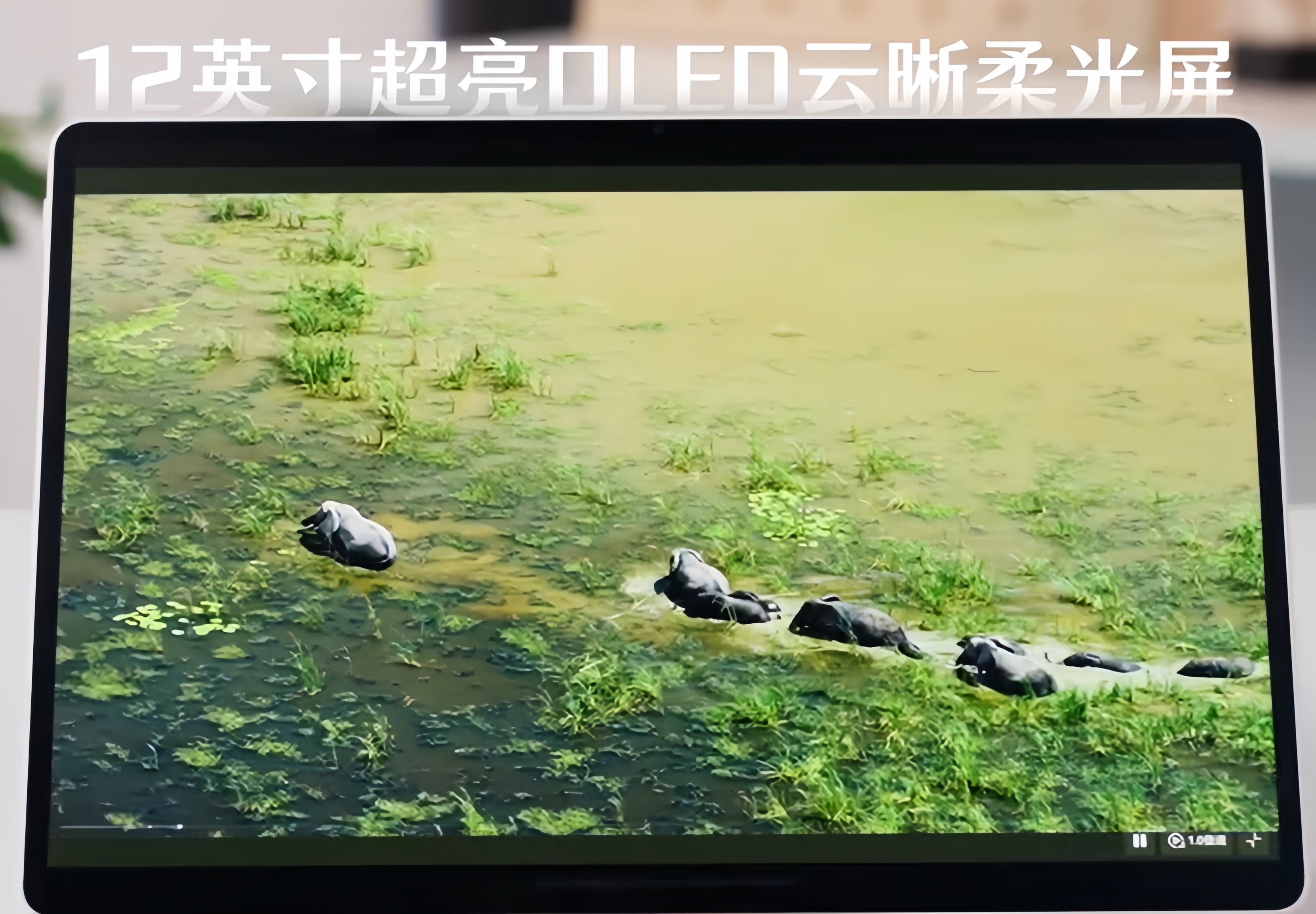 全新华为MatePadAir即将发布看到机身规格的时候真的被惊到了，大屏平板居然